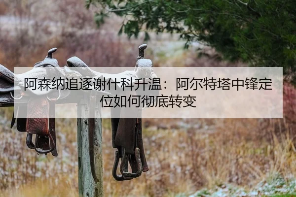 阿森纳追逐谢什科升温：阿尔特塔中锋定位如何彻底转变